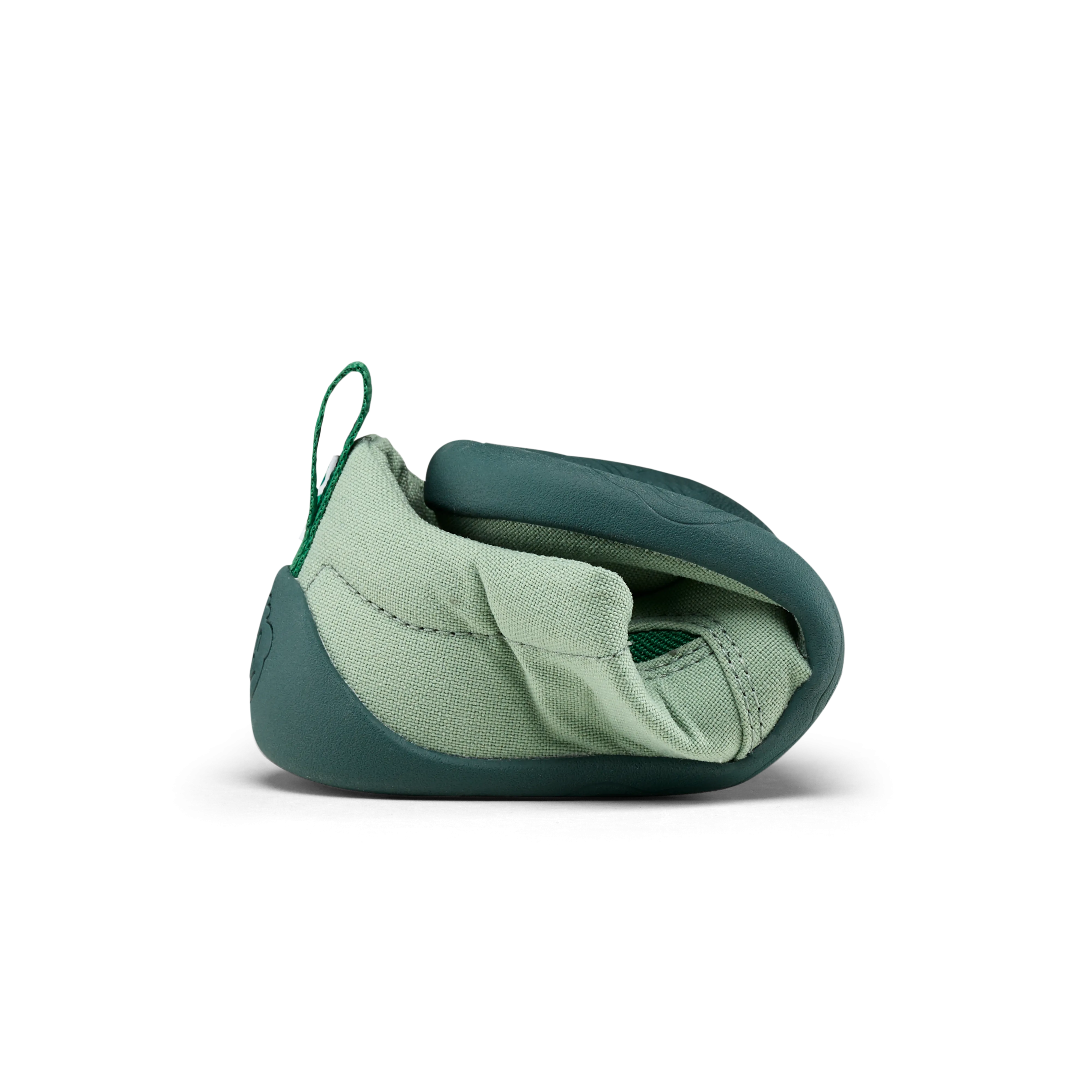 Affenzahn Canvas Ready  Frog