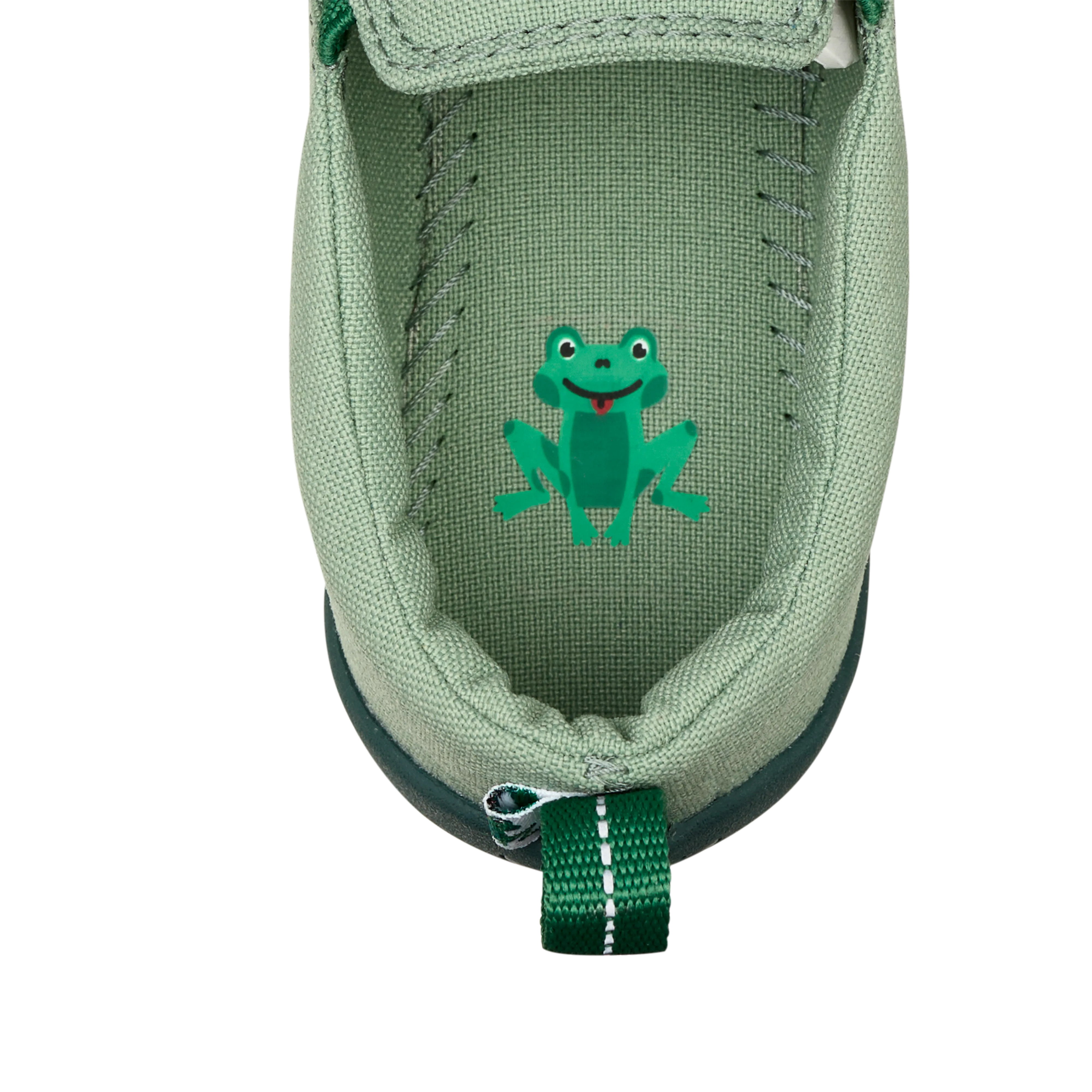 Affenzahn Canvas Ready  Frog