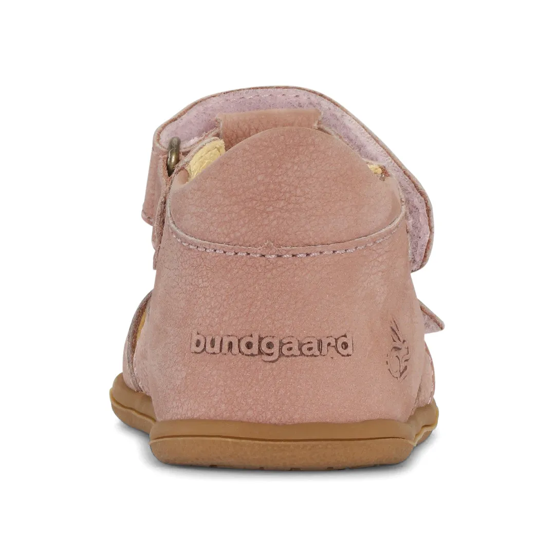 Bundgaard Balder  Rose