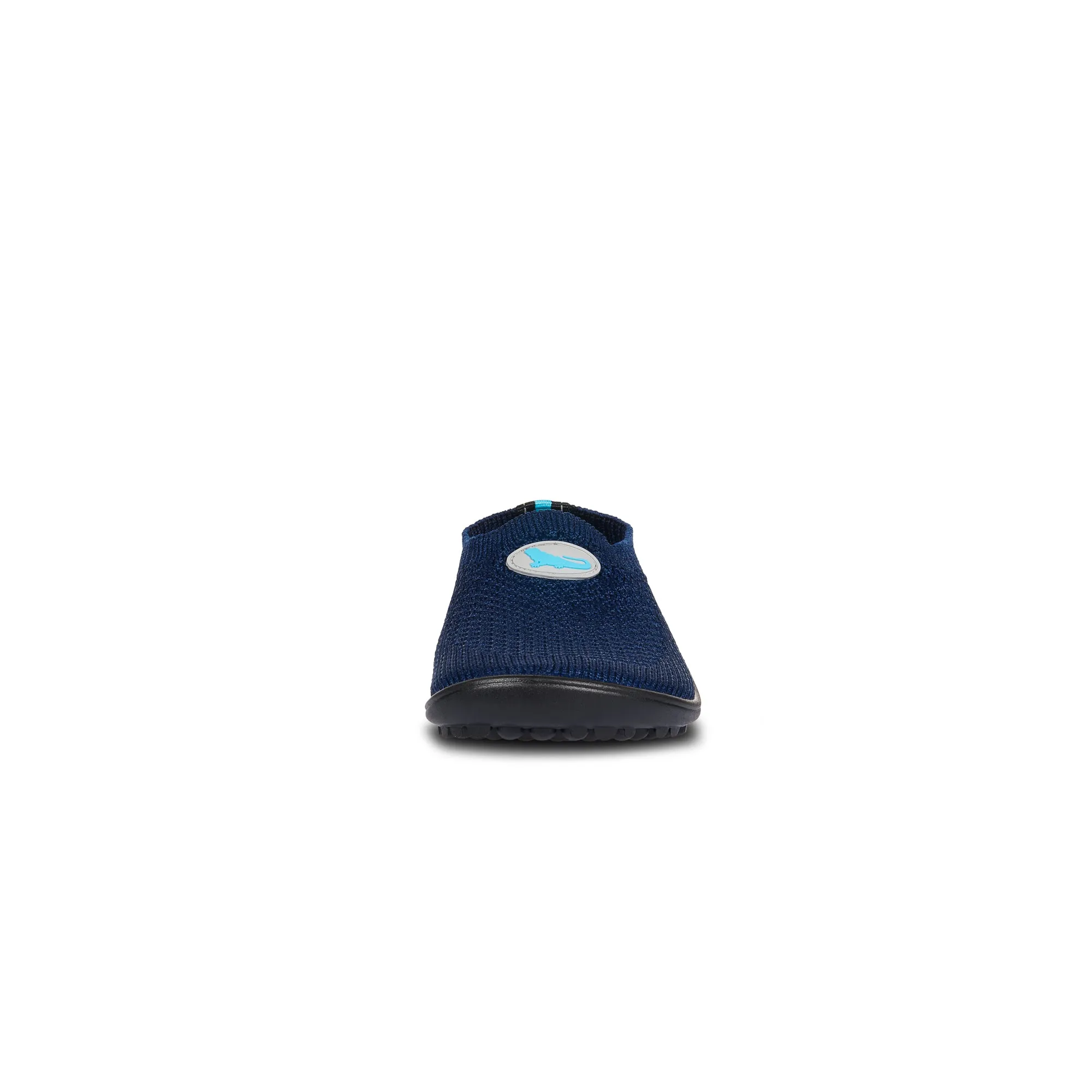 Leguanito Scio  Blue (23-28)