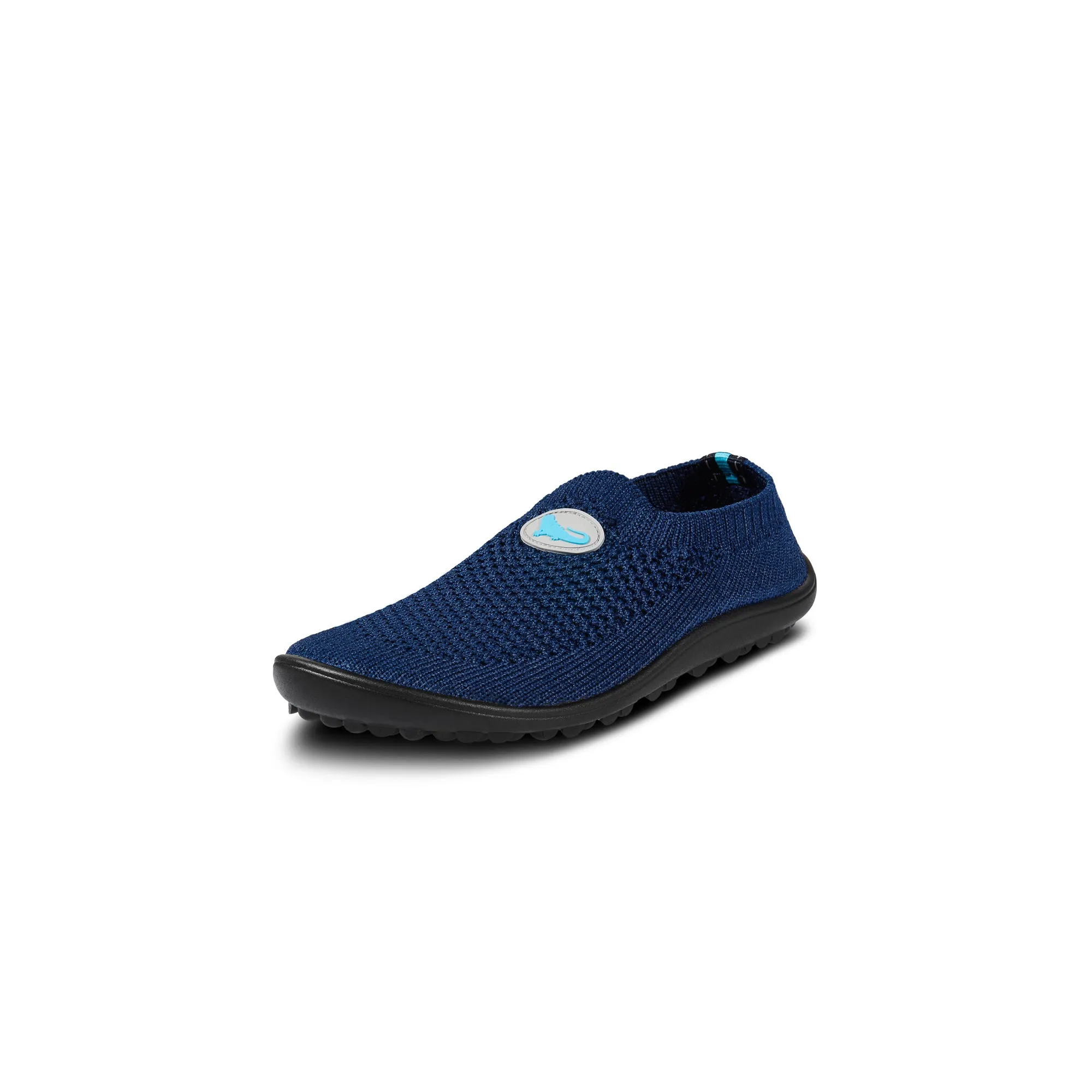 Leguanito Scio  Blue (23-28)