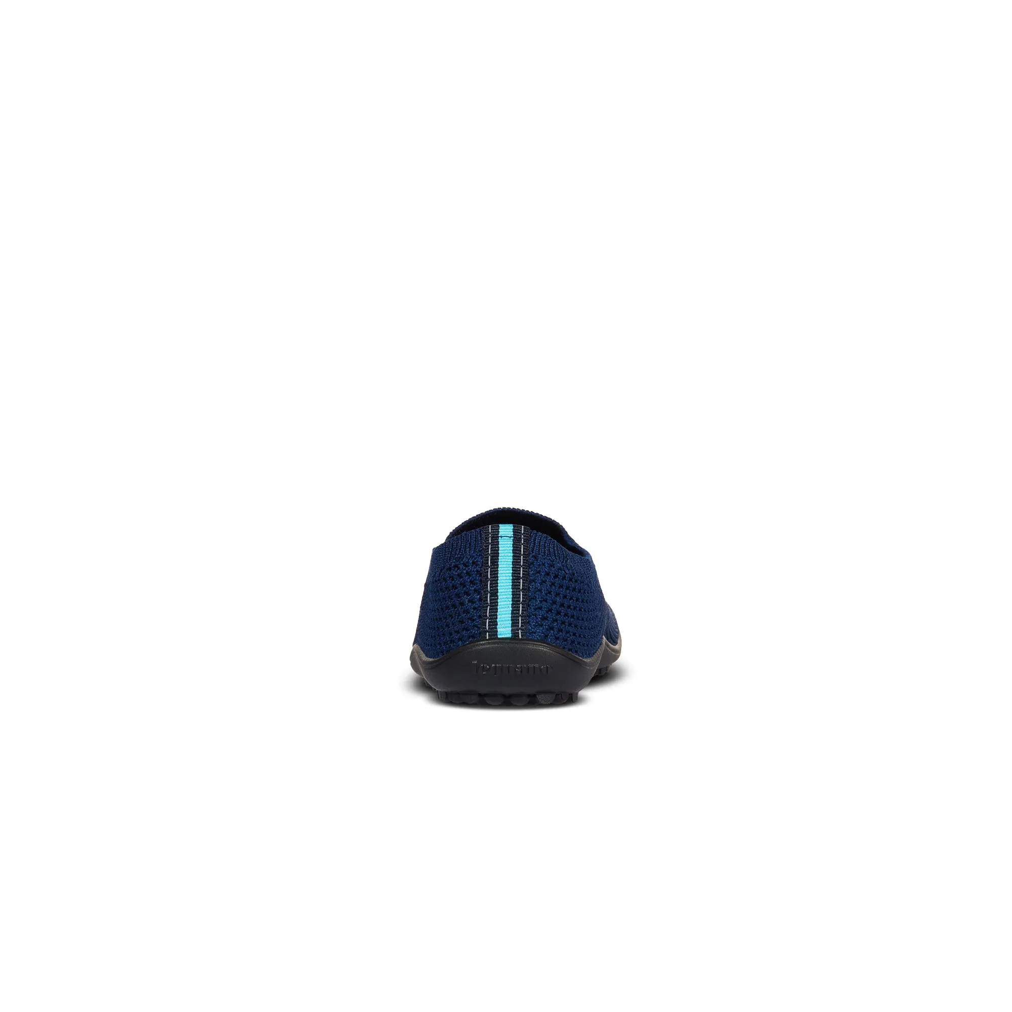 Leguanito Scio  Blue (23-28)