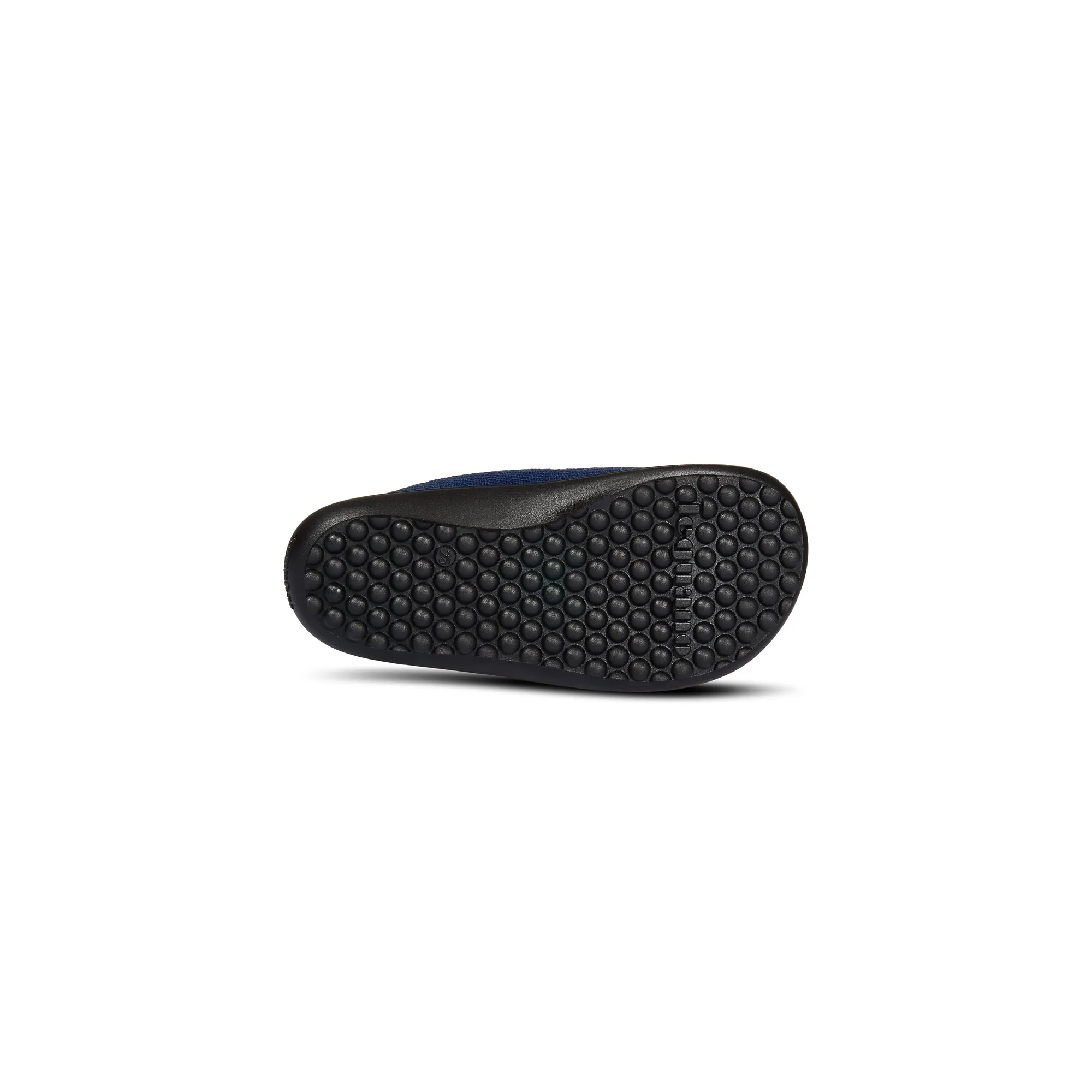 Leguanito Scio  Blue (23-28)
