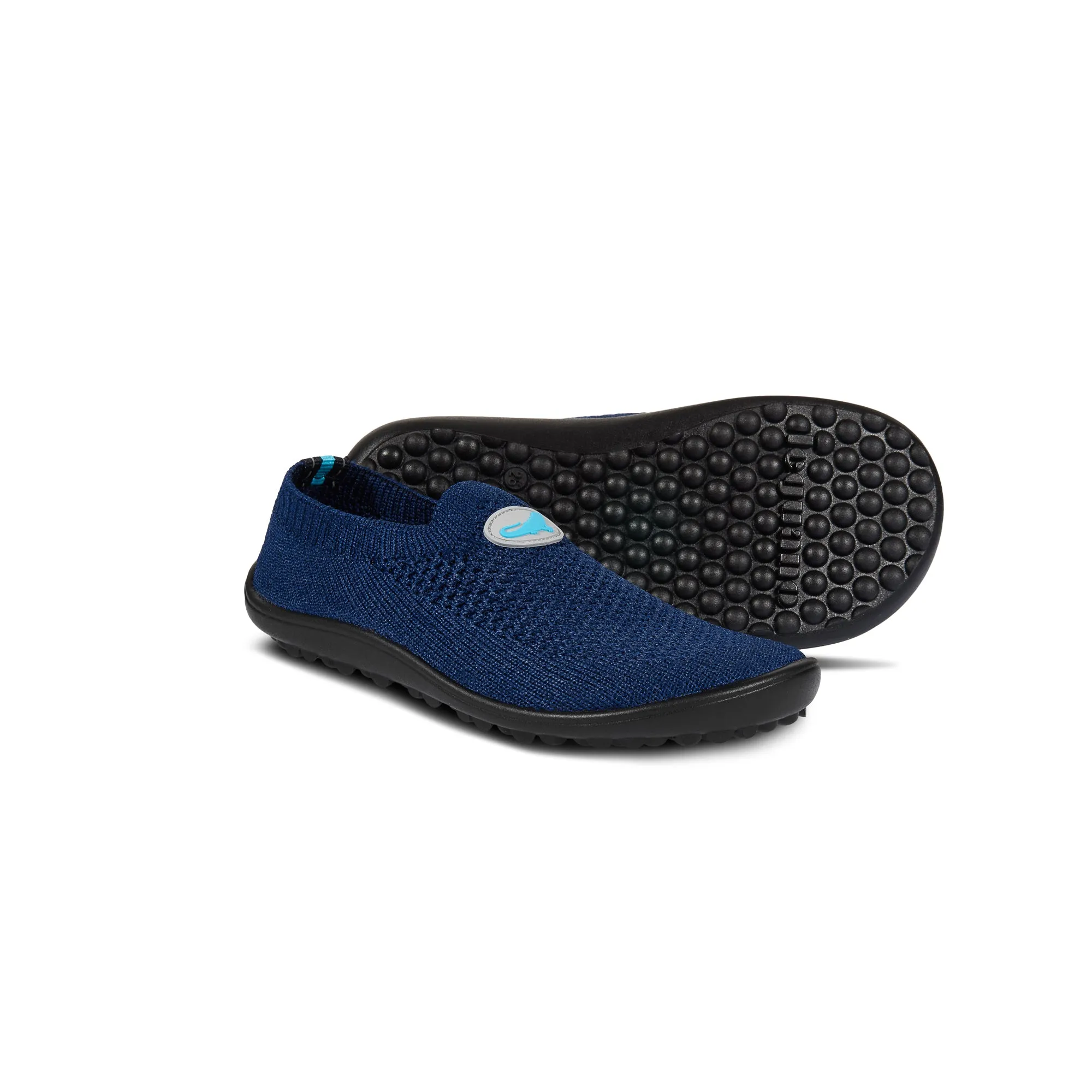 Leguanito Scio  Blue (23-28)