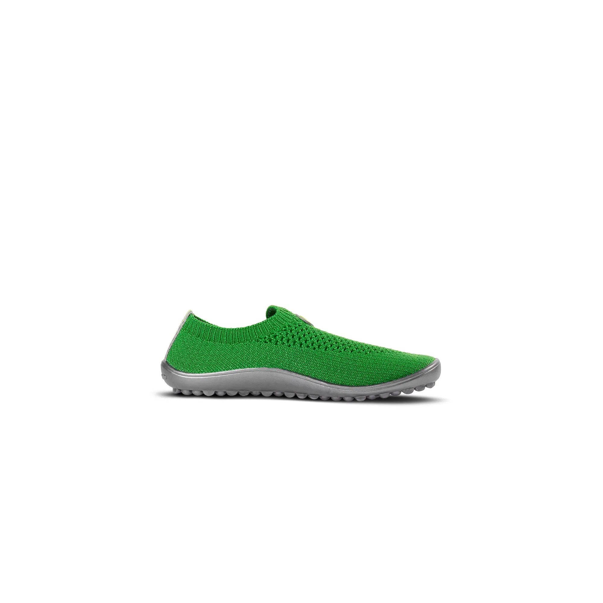 Leguanito Scio  Green (23-28)