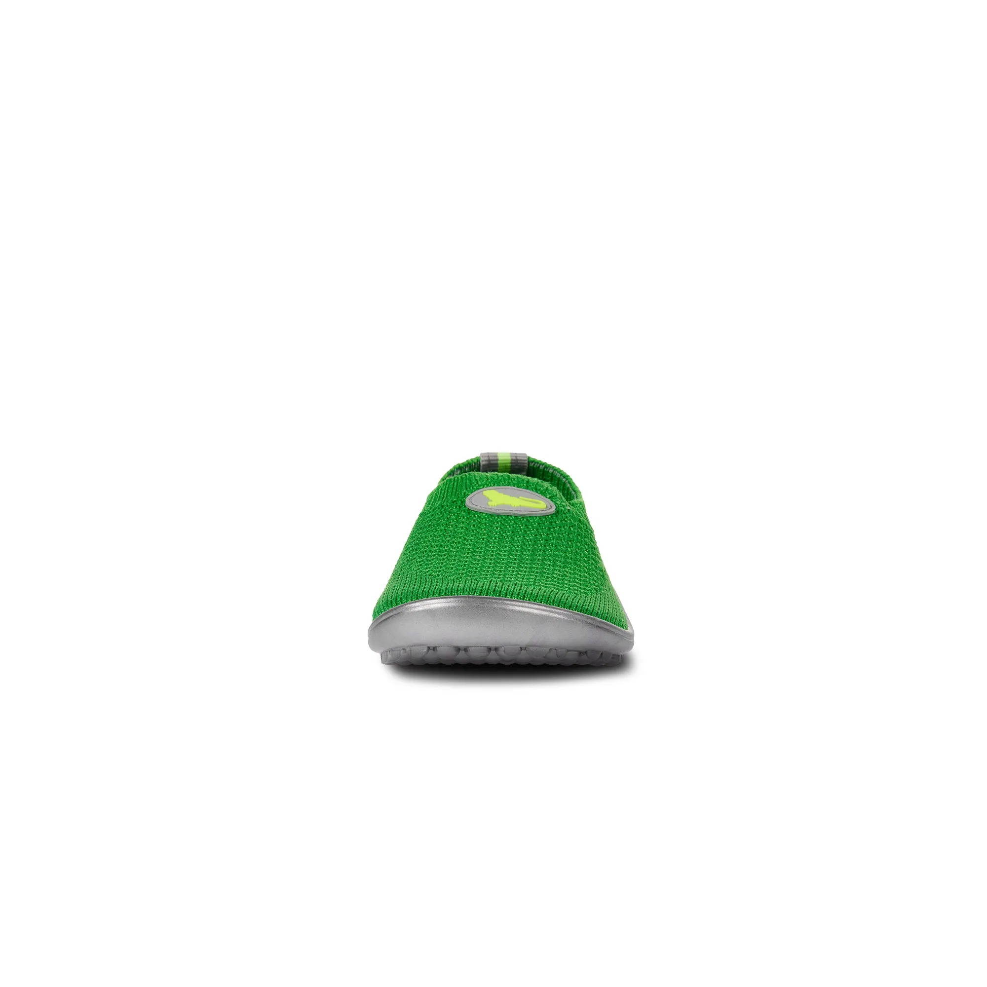 Leguanito Scio  Green (23-28)
