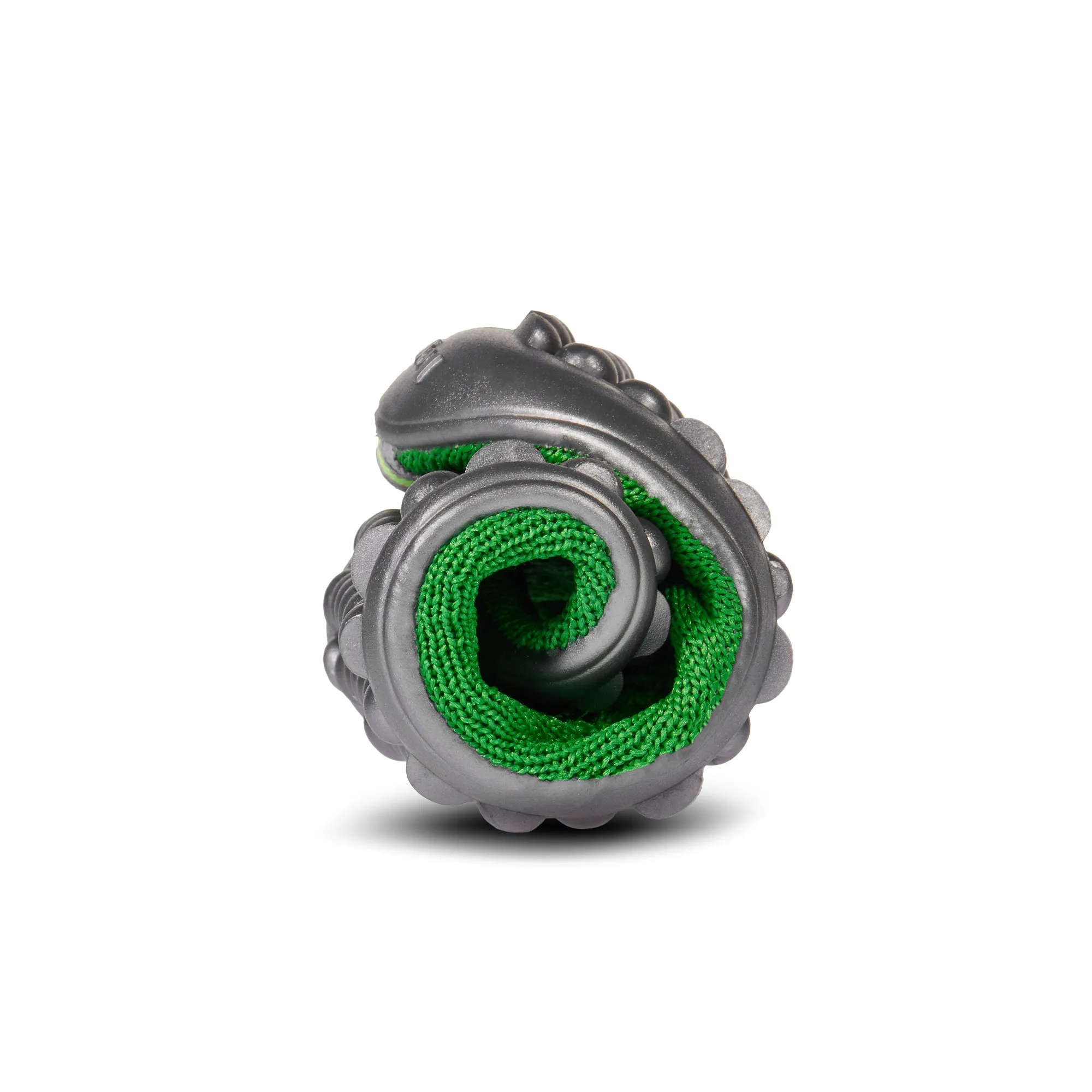 Leguanito Scio  Green (23-28)