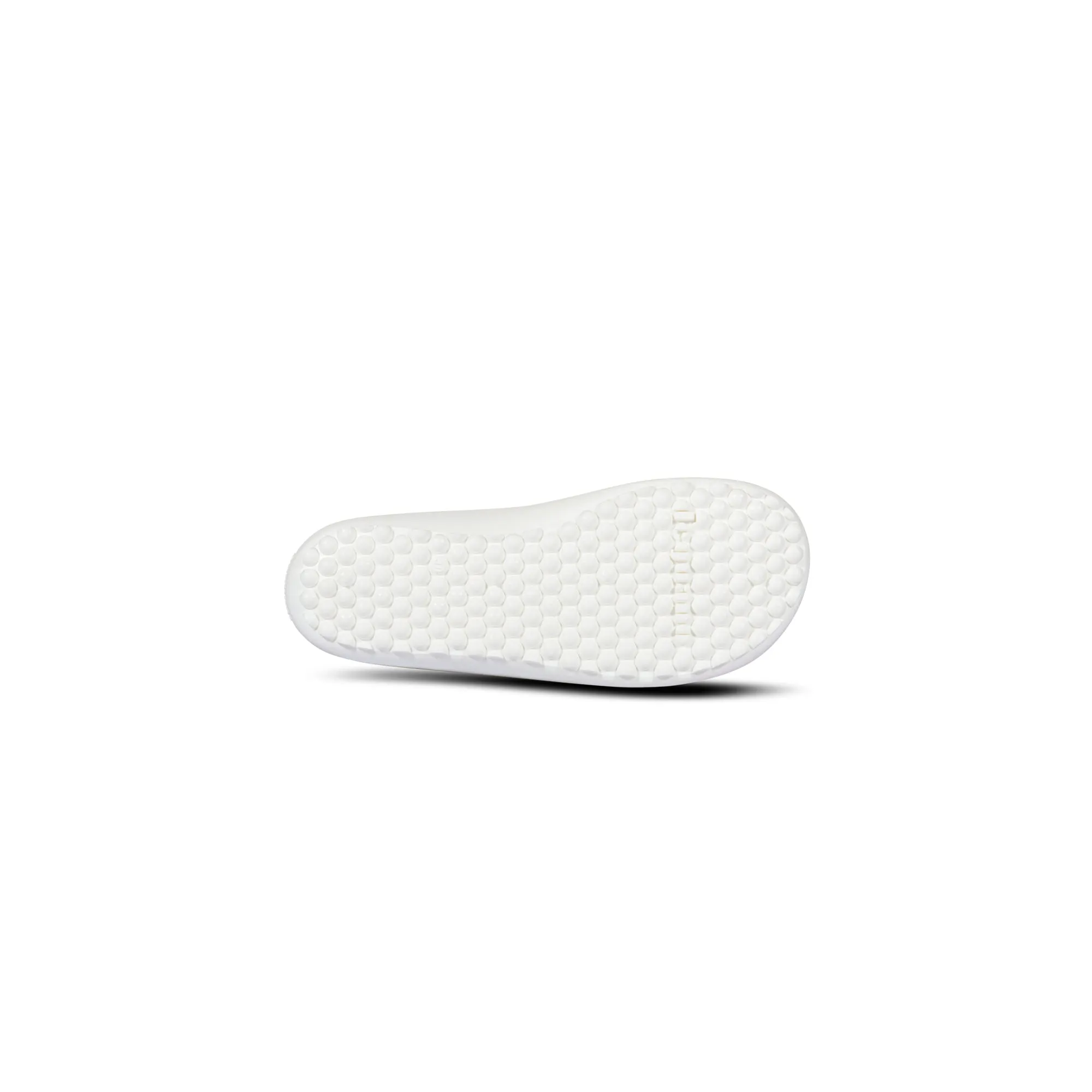 Leguanito Scio  Rose (23-28)