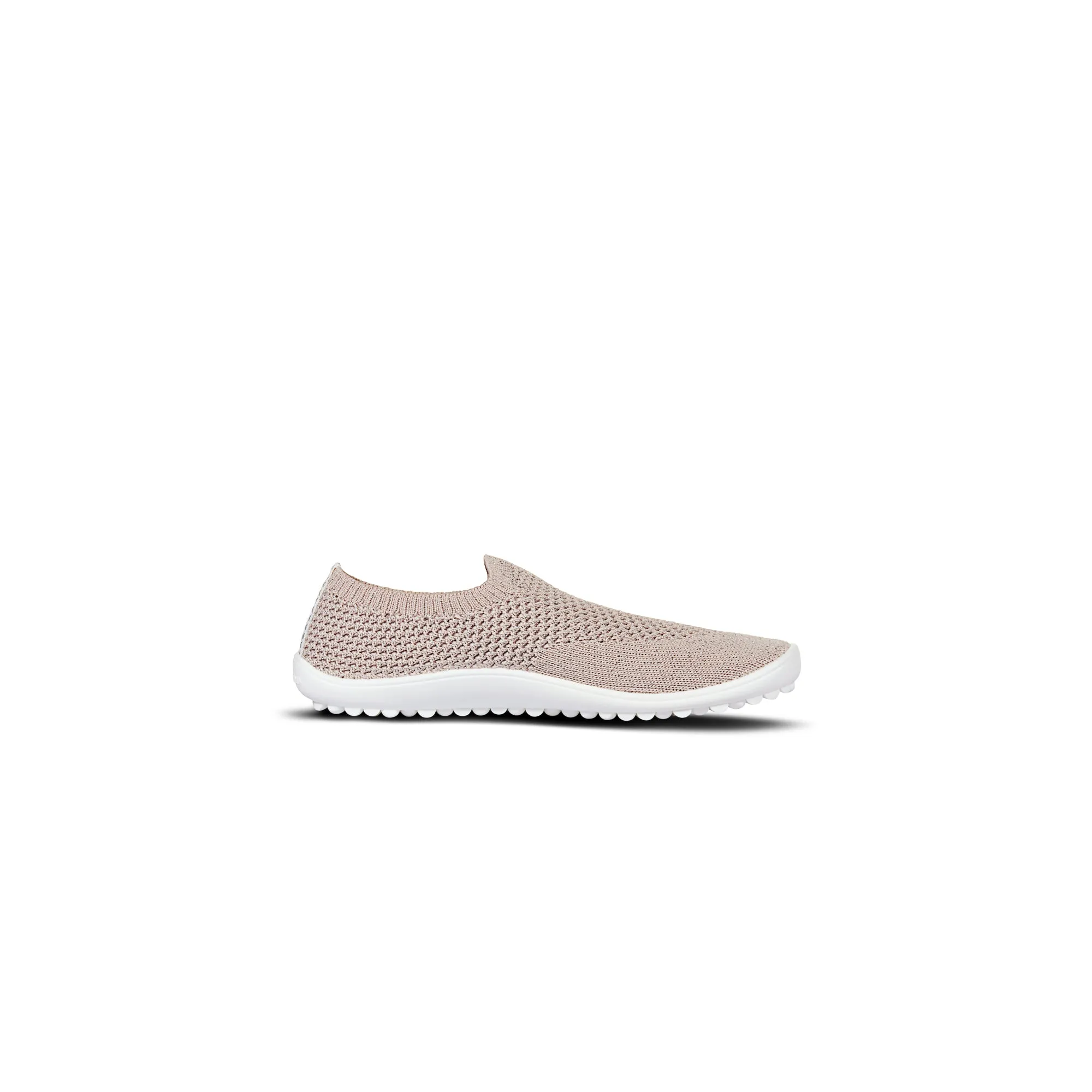 Leguanito Scio  Rose (29-34)