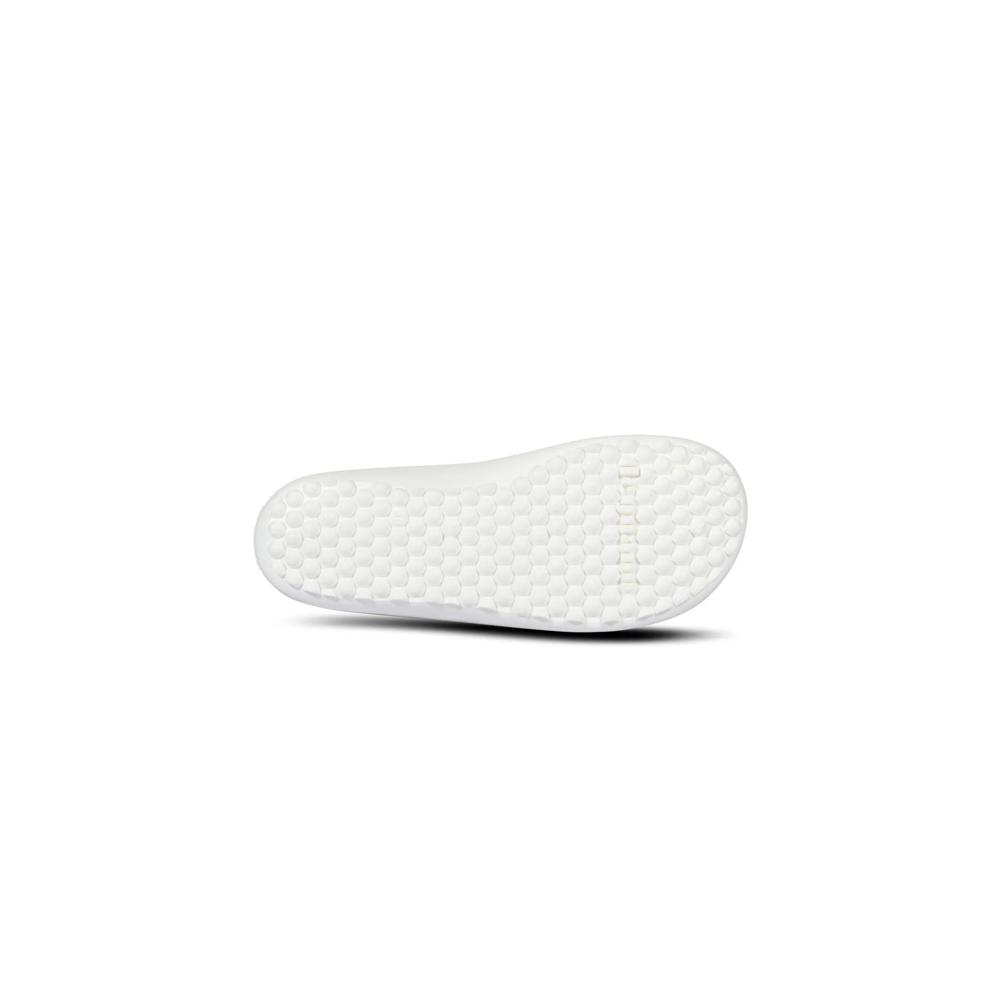 Leguanito Scio  Rose (29-34)