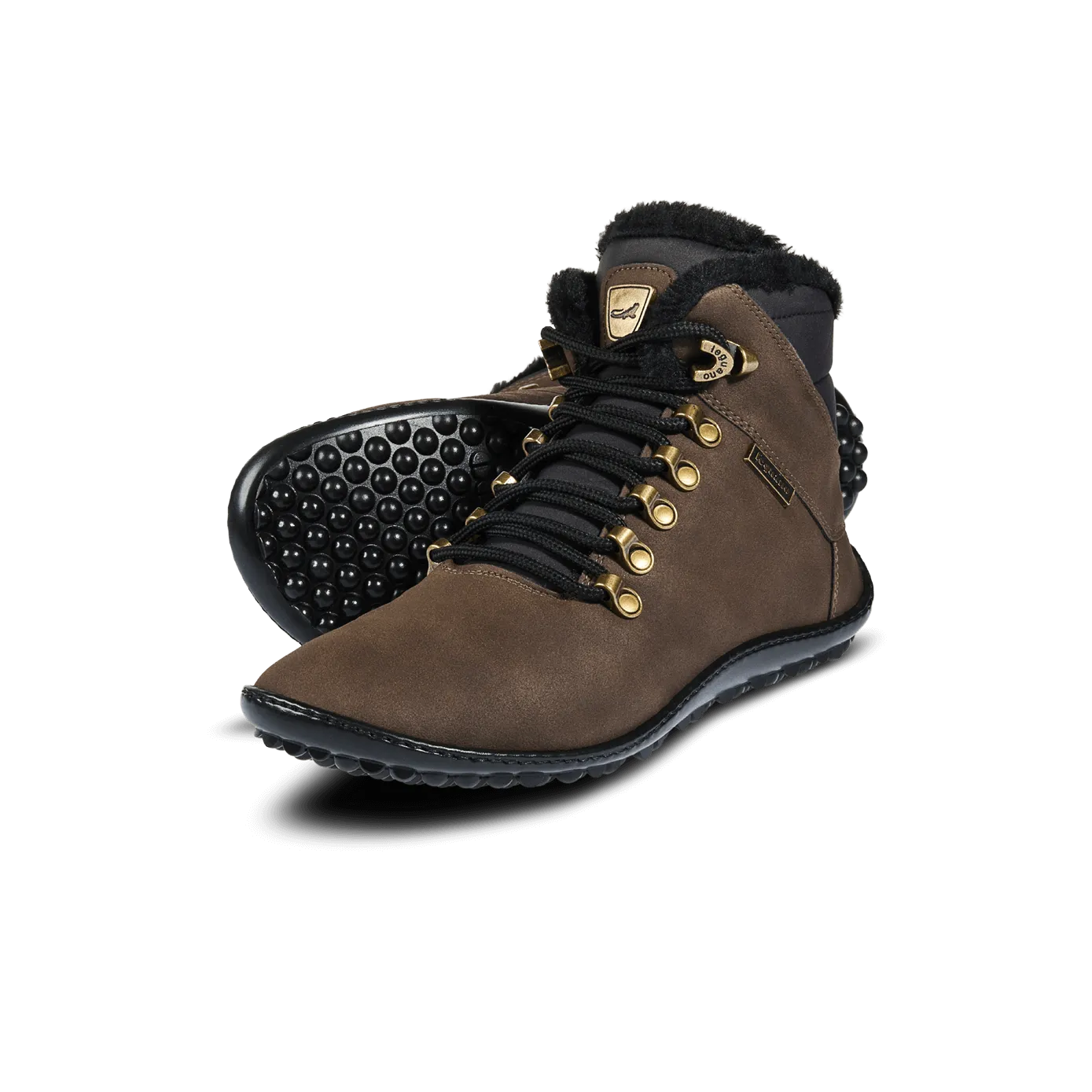 Leguano Husky  Brown