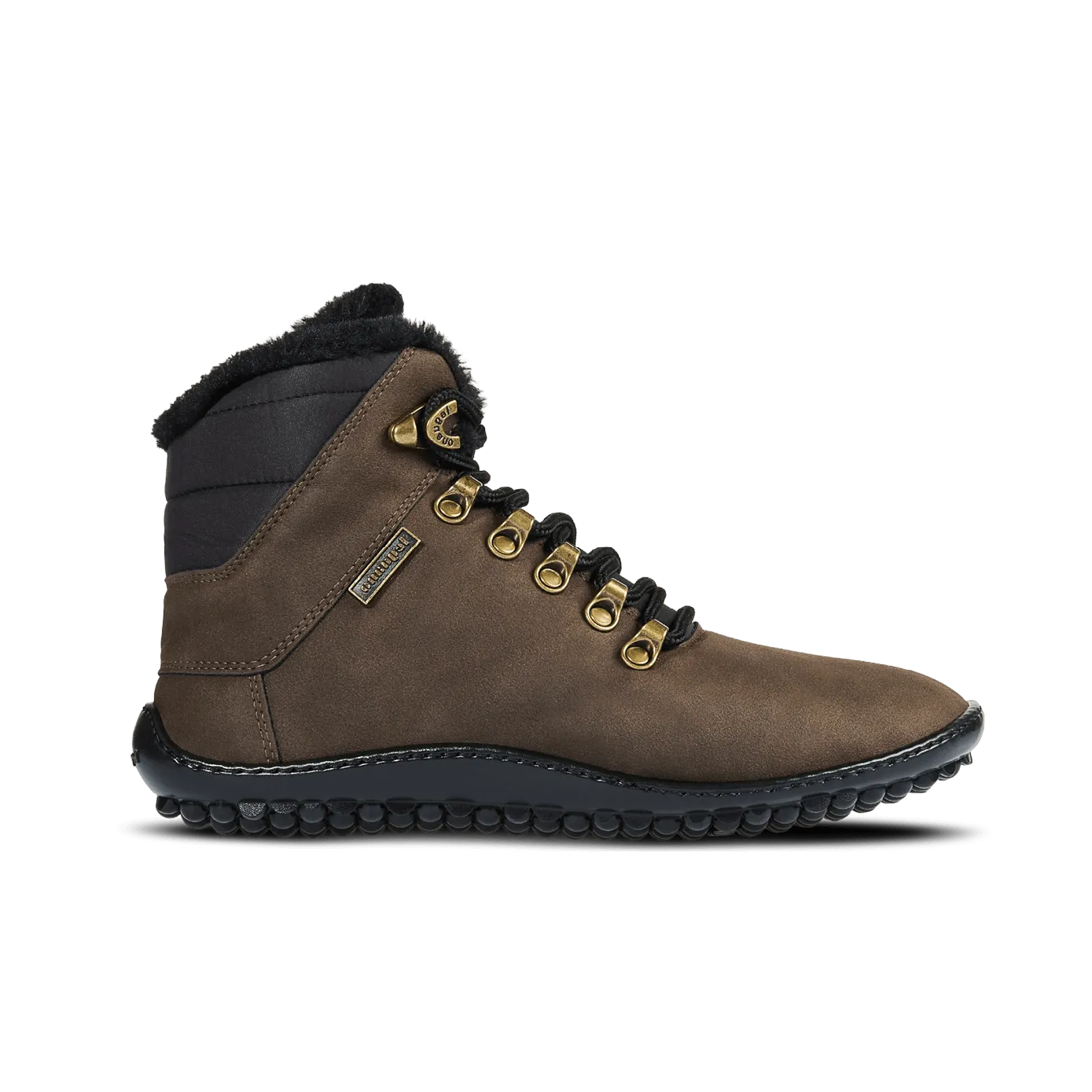 Leguano Husky  Brown