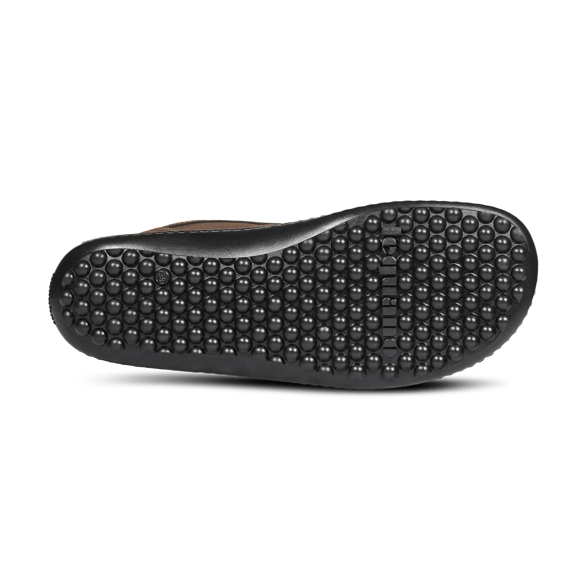 Leguano Icebare  Brown