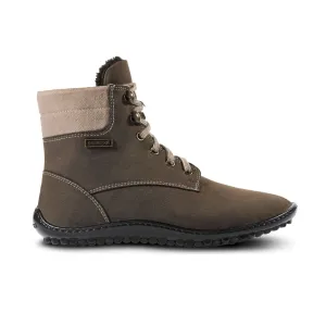 Leguano Icebare  Brown