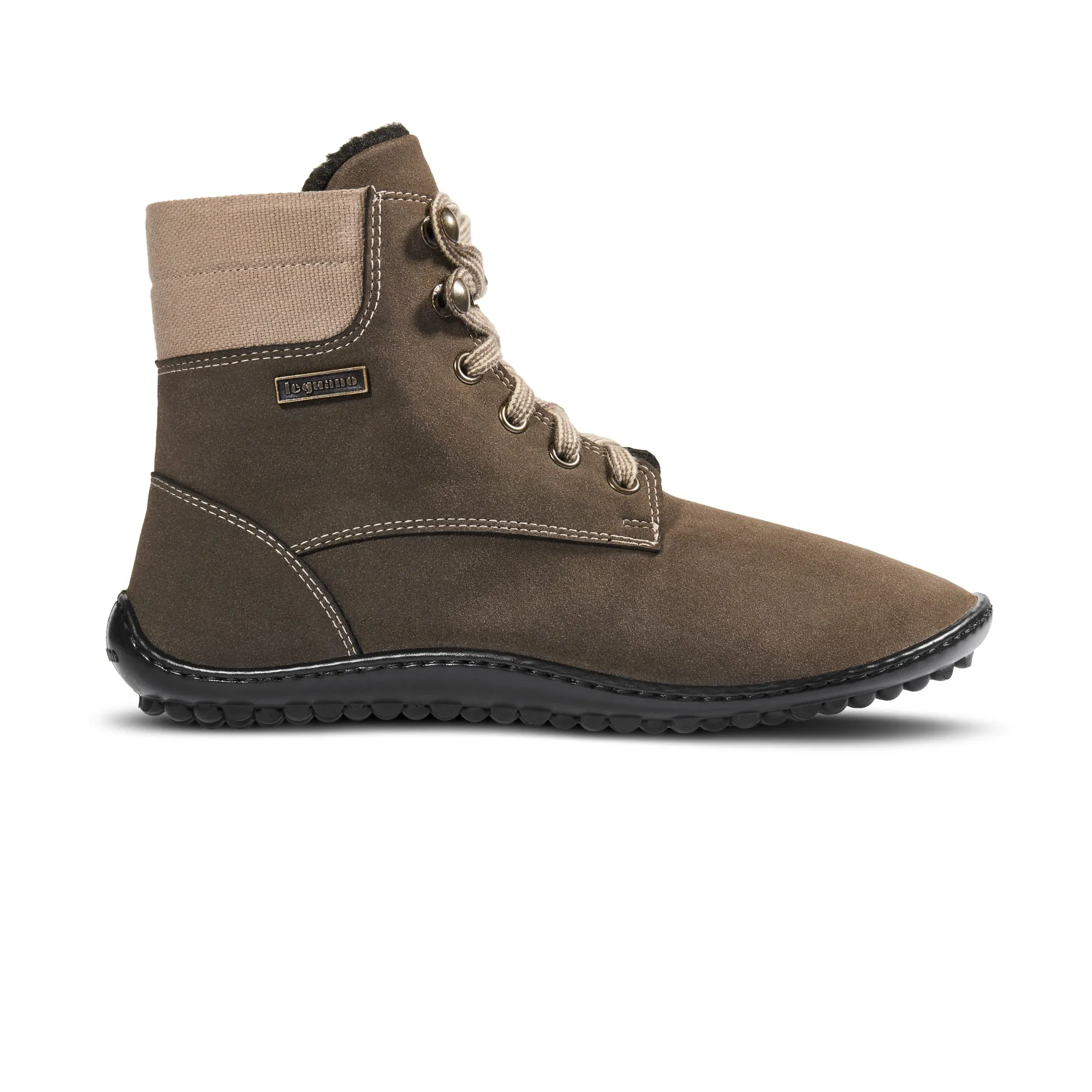 Leguano Icebare  Brown
