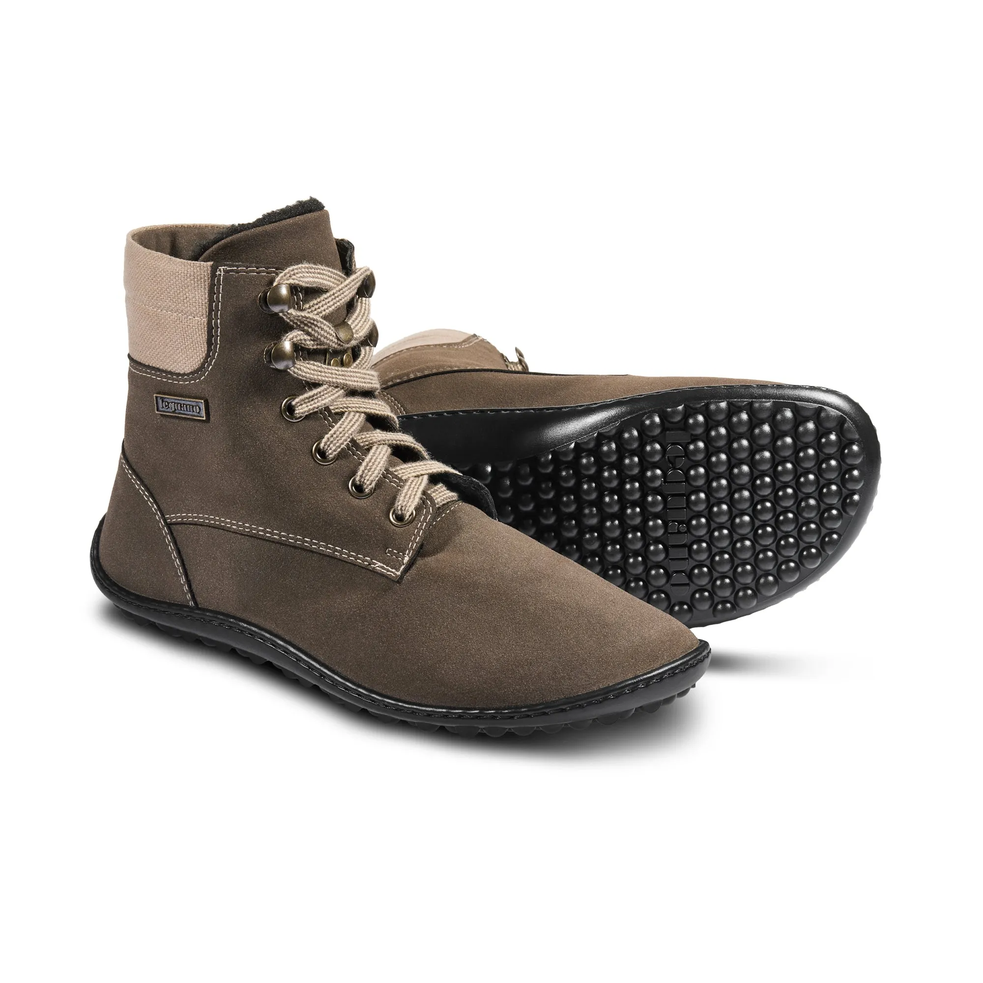 Leguano Icebare  Brown