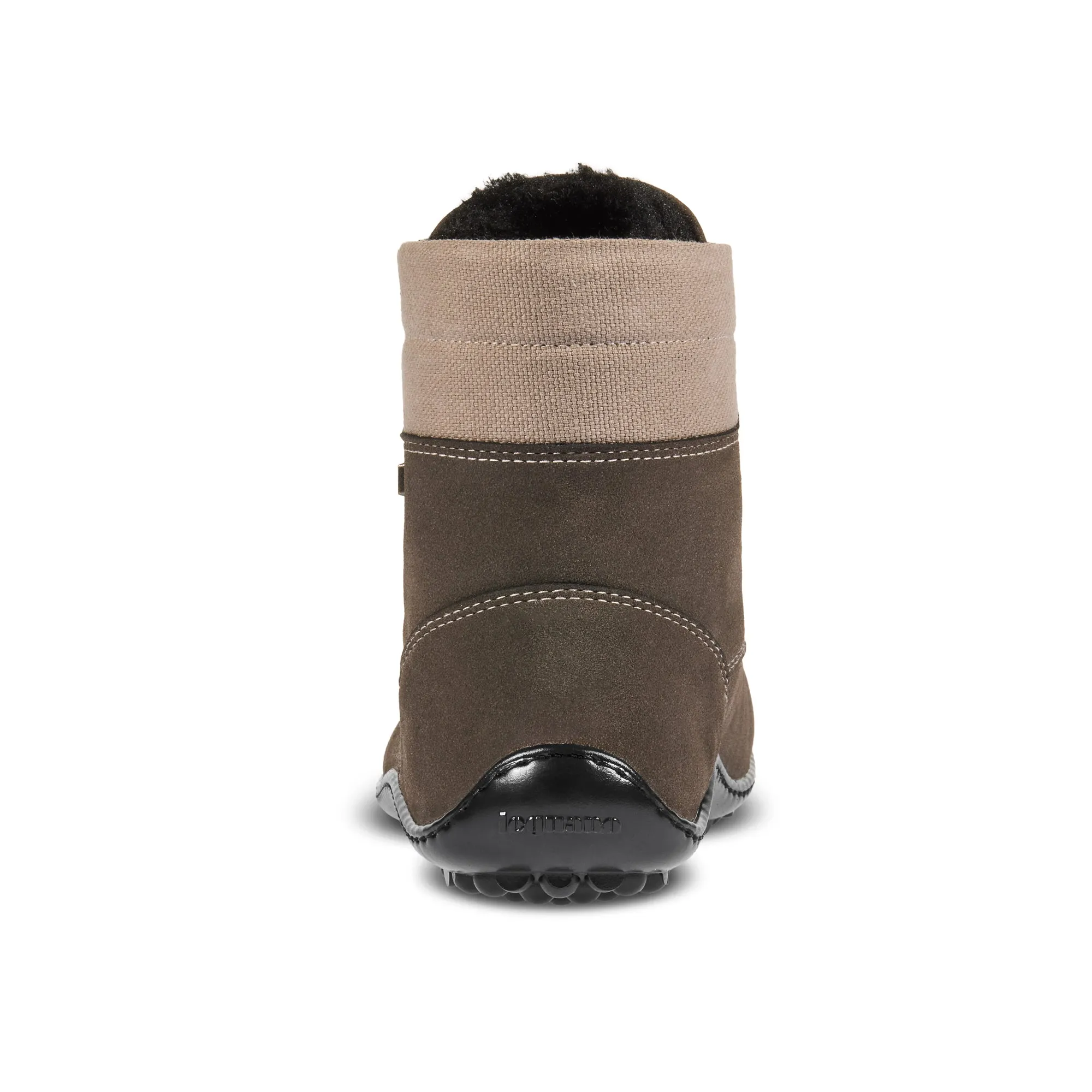 Leguano Icebare  Brown