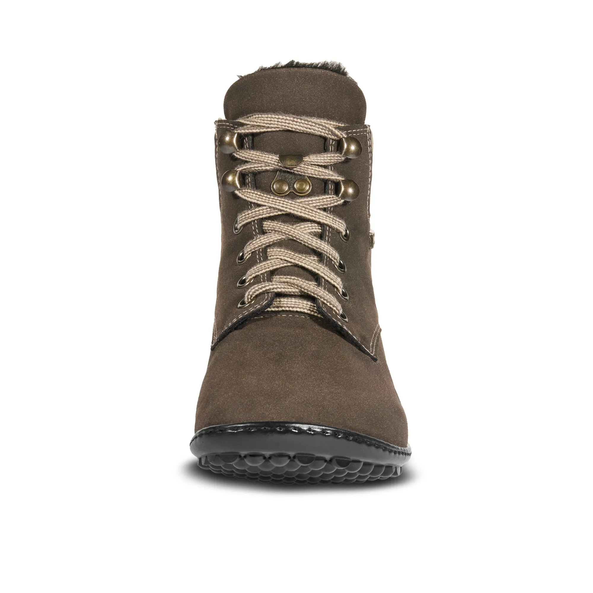 Leguano Icebare  Brown