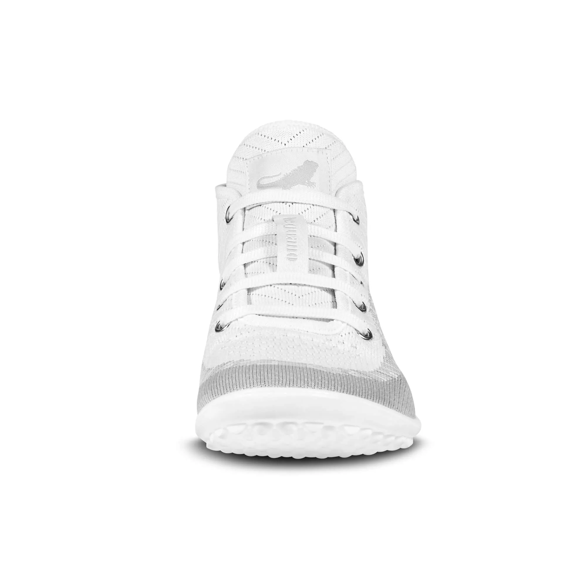 Leguano Stream  White