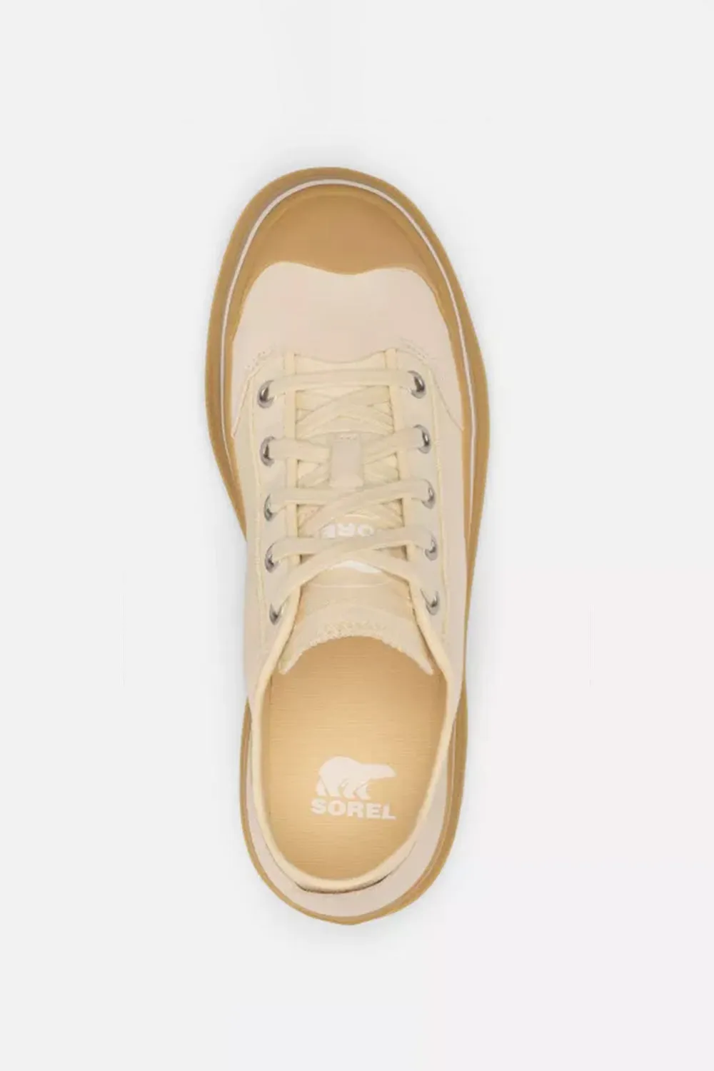 Sorel Scout N About Low Sneakers for Women in Chalk Gum | 2113251-191