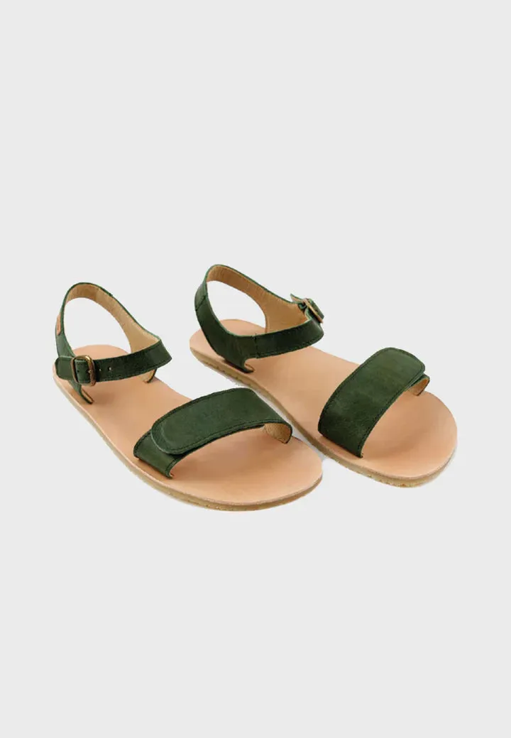 Tikki Vibe  Leaves