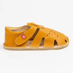 Tikki/Lang.S Aranya  Ocre