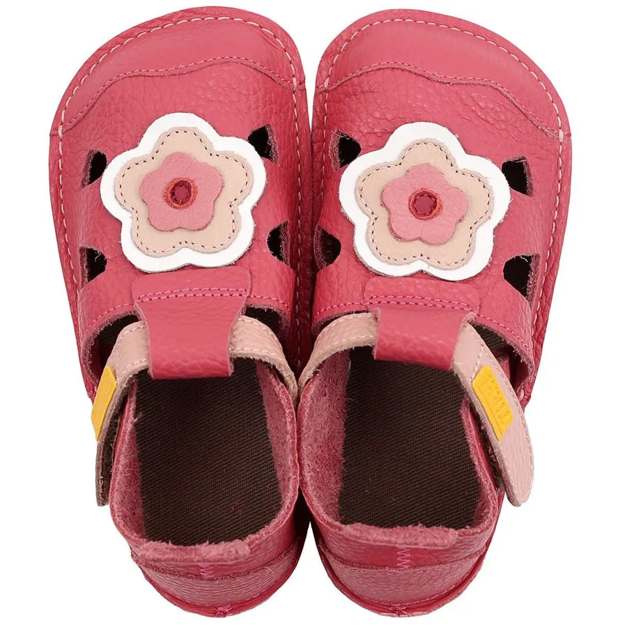 Tikki/Lang.S Nido  Blossom