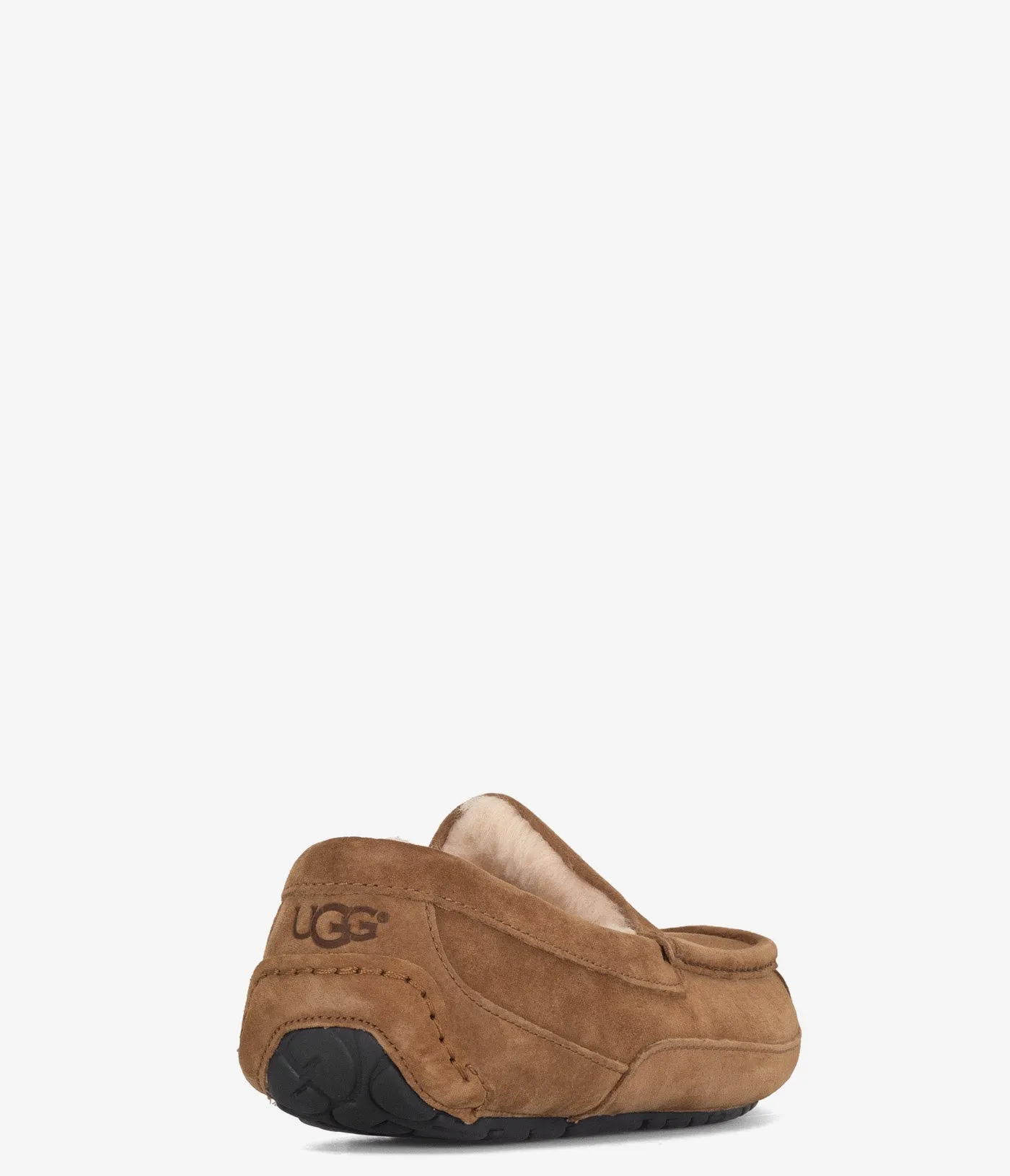 UGG Ascot Slipper - Men