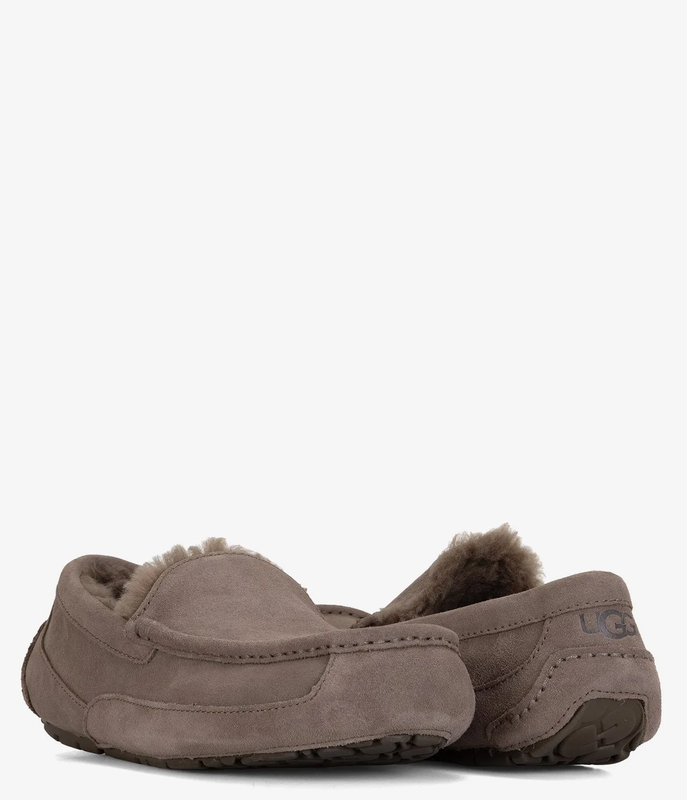 UGG Ascot Slipper - Men