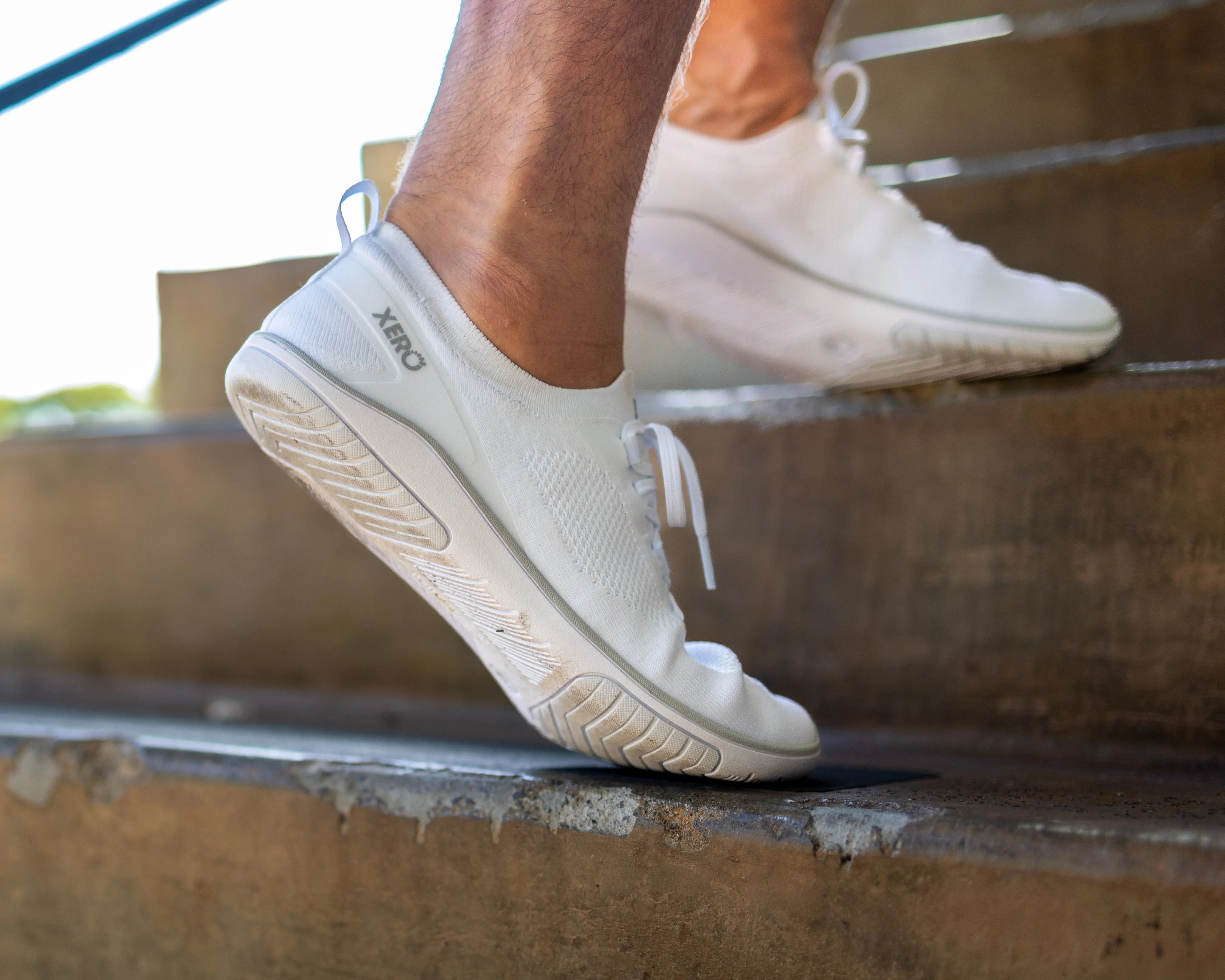 Xero Shoes Nexus Knit Men  White