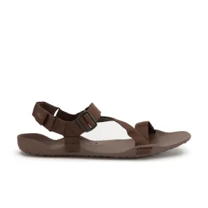 Xero Shoes Z-Trek Mens  Brown