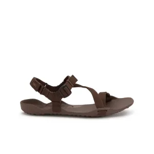 Xero Shoes Z-Trek Womens  Brown